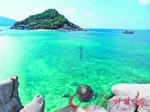 逃离大犀牛出没地